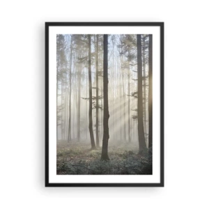 Poster in cornice nera - Una mattina nebbiosa nella foresta con raggi di sole - 50x70cm - Anche la nebbia si è svegliata - Decorazione murale moderna per soggiorno e camera da letto ARTTOR