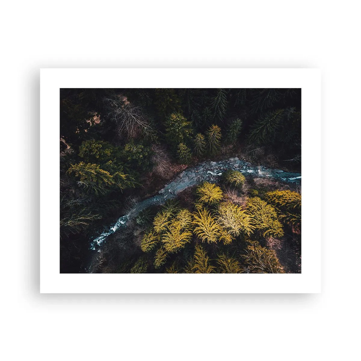 Poster - Sempre più veloce - 50x40 cm