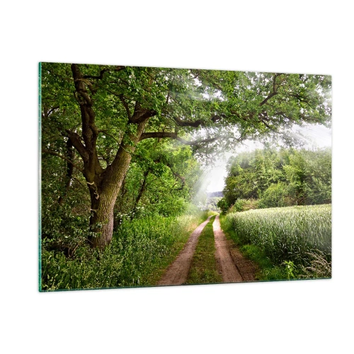 Quadro su vetro - Una strada forestale immersa nel verde sotto i raggi del sole - 120x80cm - Et in Arcadia ego - Decorazione murale moderna per soggiorno e camera da letto ARTTOR