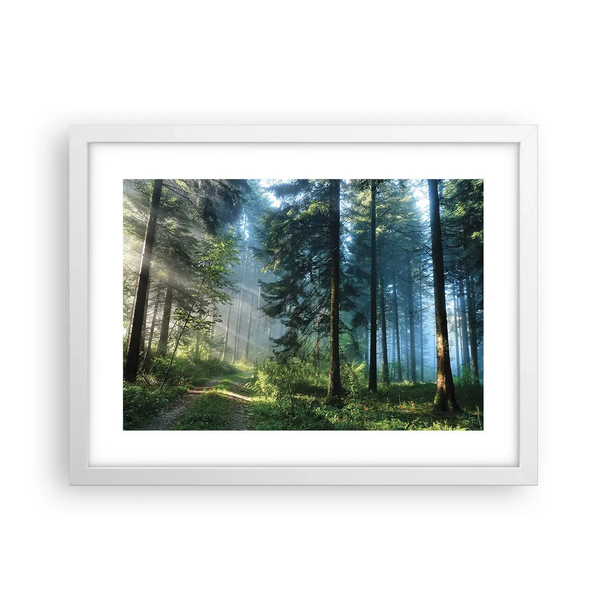 Poster in cornice bianca - Raggiante all'alba - 40x30 cm
