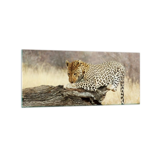 Quadro su vetro - Un leopardo che riposa sul tronco di un albero nella savana - 120x50cm - Vado per la mia strada - Decorazione murale moderna per soggiorno e camera da letto ARTTOR