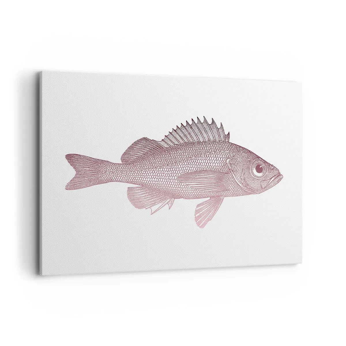 Quadro su tela - Stampe su Tela - Illustrazione dettagliata di un pesce su sfondo bianco - 120x80cm - Il pesce dagli occhi enormi - Decorazione murale moderna per soggiorno e camera da letto ARTTOR