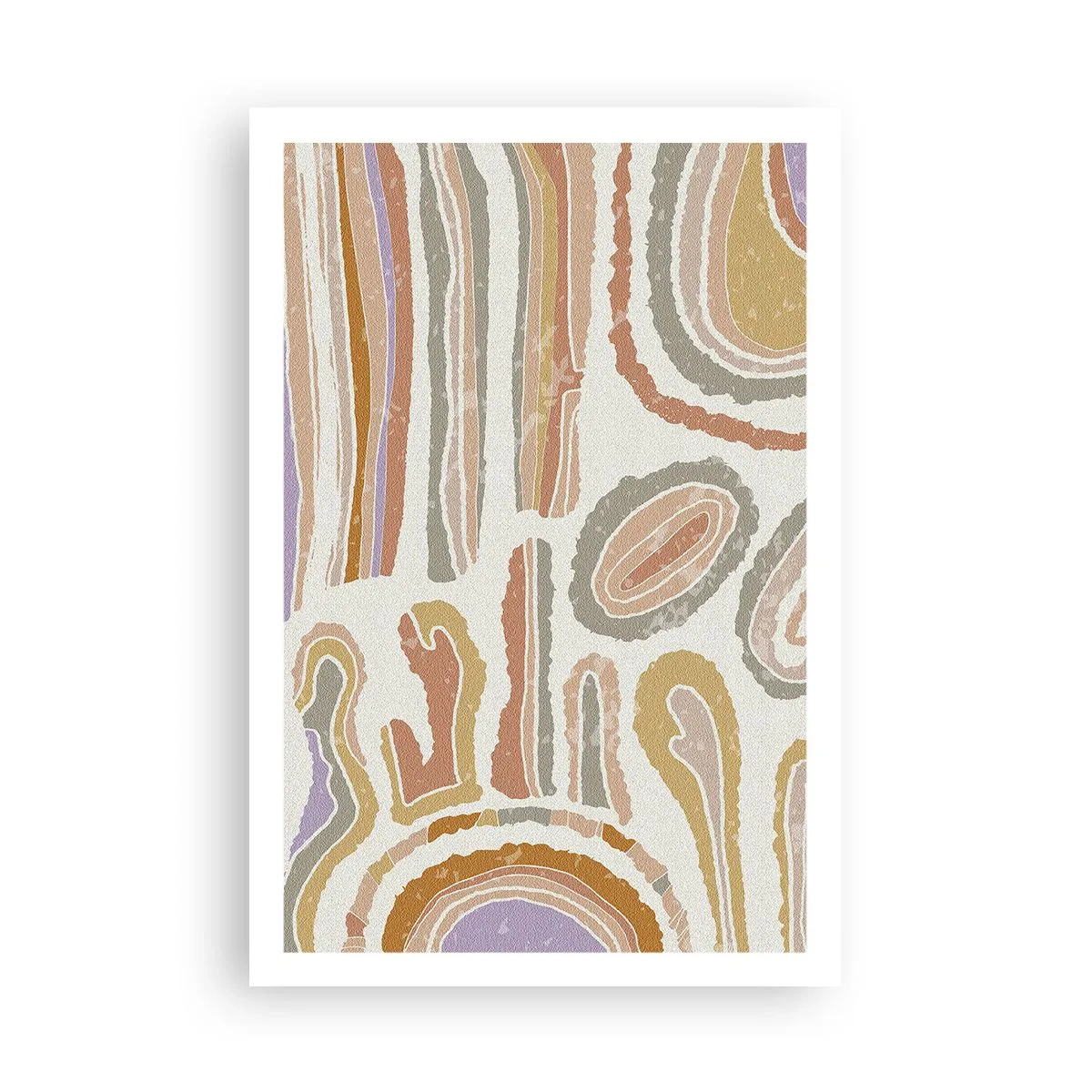 Poster - Sezioni colorate - 61x91 cm