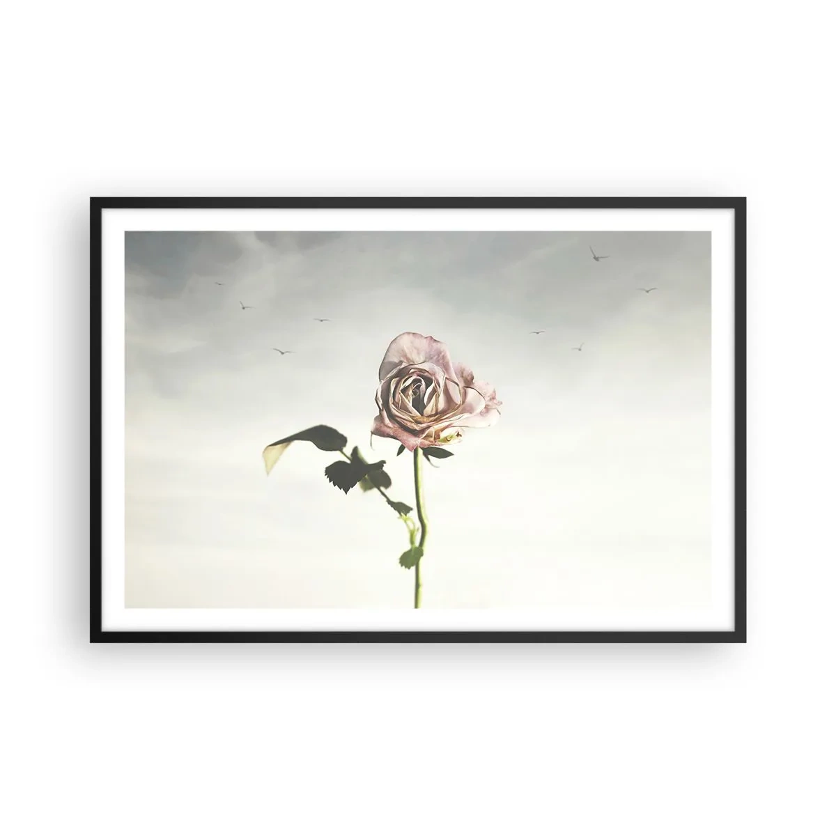 Poster in cornice nera - Il benvenuto alla primavera - 91x61 cm