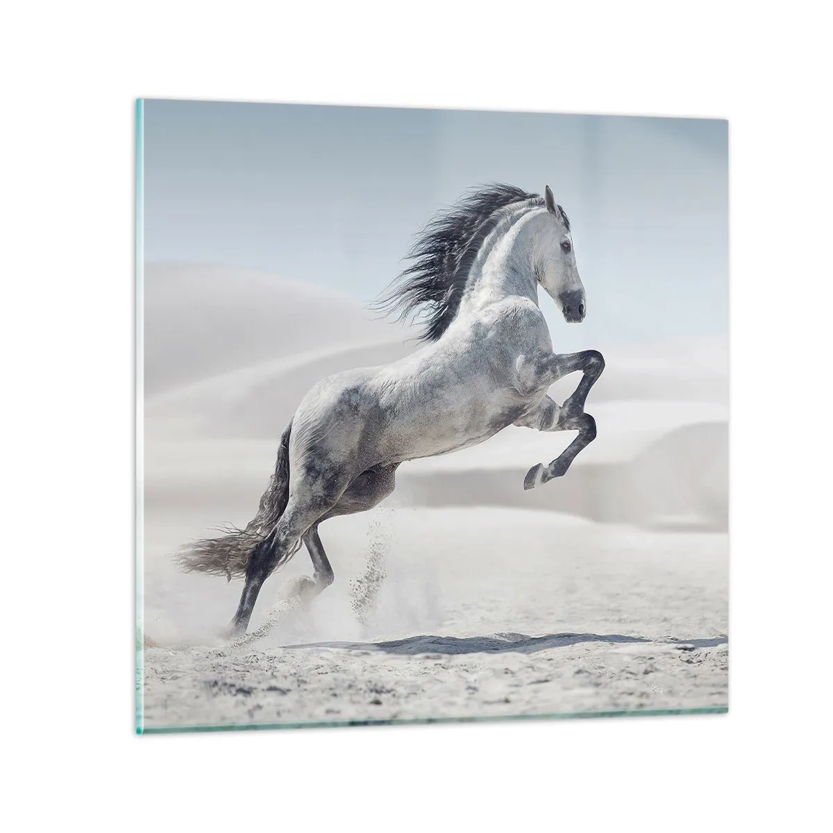 Quadro su vetro - Il principe arabo - 70x70 cm
