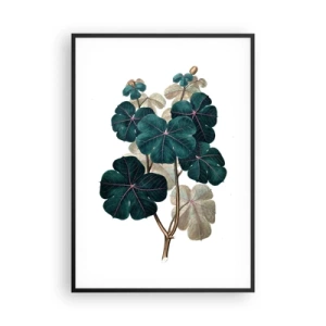 Poster in cornice nera - Dal vecchio erbario - 70x100 cm