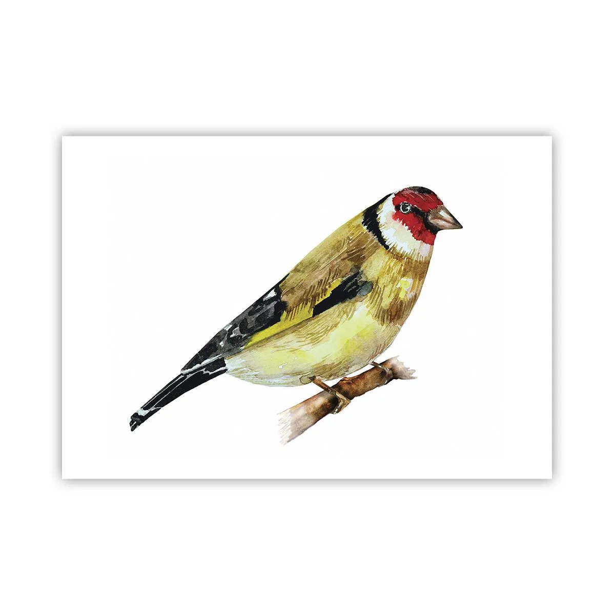 Poster - Un uccello con la testa rossa su un ramo - 100x70cm - Ritratto di uccello - Decorazione murale moderna per soggiorno e camera da letto ARTTOR