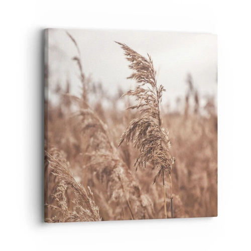Quadro su tela - Stampe su Tela - Nei campi è già autunno - 30x30 cm