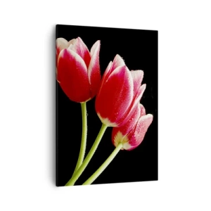 Quadro su tela - Stampe su Tela - Tulipani rossi con gocce di rugiada su sfondo nero - 50x70cm - Promessa di amore puro - Decorazione murale moderna per soggiorno e camera da letto ARTTOR