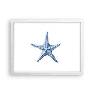 Poster in cornice bianca - Stella marina - 40x30 cm