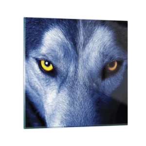 Quadro su vetro - Sguardo ipnotico - 60x60 cm