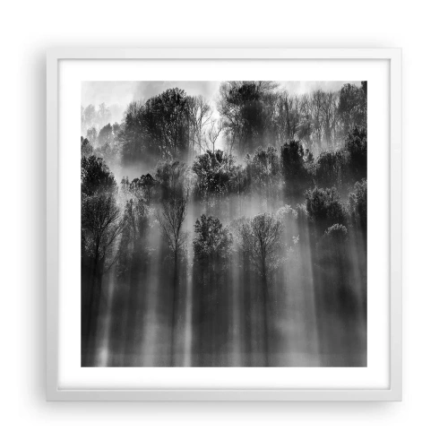 Poster in cornice bianca - Nei getti di luce - 50x50 cm
