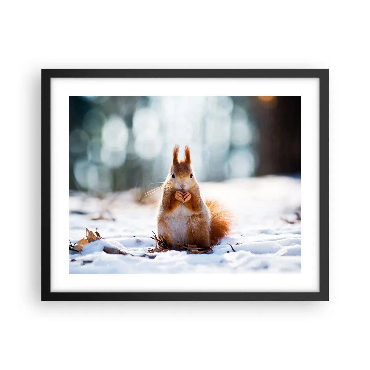 Poster in cornice nera - Che cosa guardi? - 50x40 cm