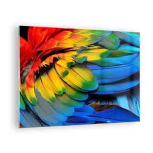 Quadro su vetro - Piume di pappagallo colorate in intensi colori arcobaleno - 70x50cm - L'uccello del paradiso - Decorazione murale moderna per soggiorno e camera da letto ARTTOR