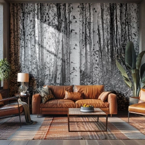 Fotomurali Premium Canvas - Colonnato di betulle - foresta, Betulla, Natura - 300x210 cm