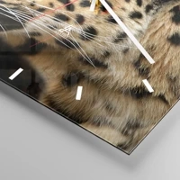 Quadrante con trattini