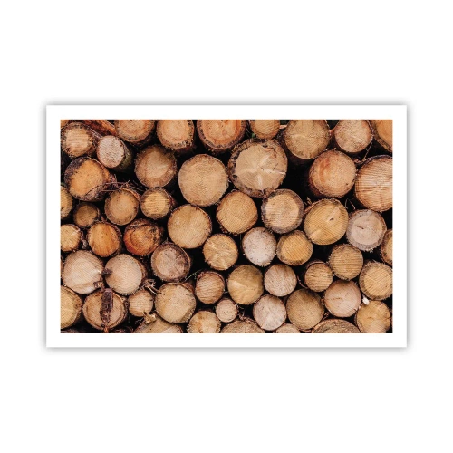 Poster - Nuovo inizio - 91x61 cm