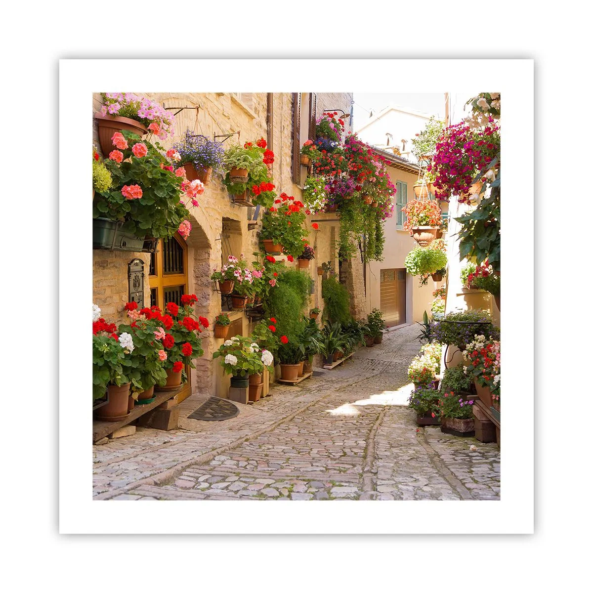 Poster - Un'esplosione di fiori - 50x50 cm
