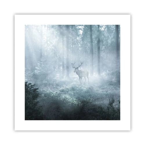 Poster - Passeggiata mattutina sulle sue terre - 40x40 cm