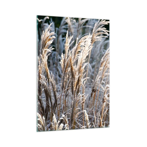 Quadro su vetro - Erbe congelate al sole invernale - 50x70cm - Vestite di brina - Decorazione murale moderna per soggiorno e camera da letto ARTTOR