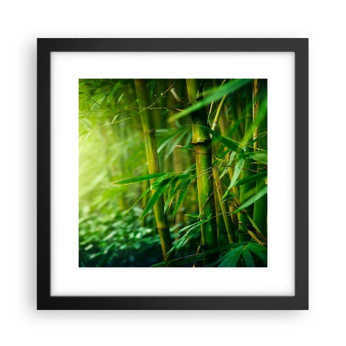 Poster in cornice nera - Conoscere il verde in sé - 30x30 cm