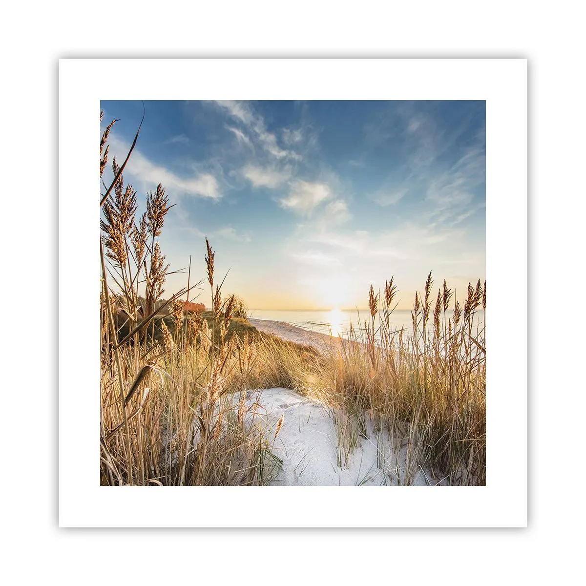 Poster - Spiaggia del nord - 40x40 cm