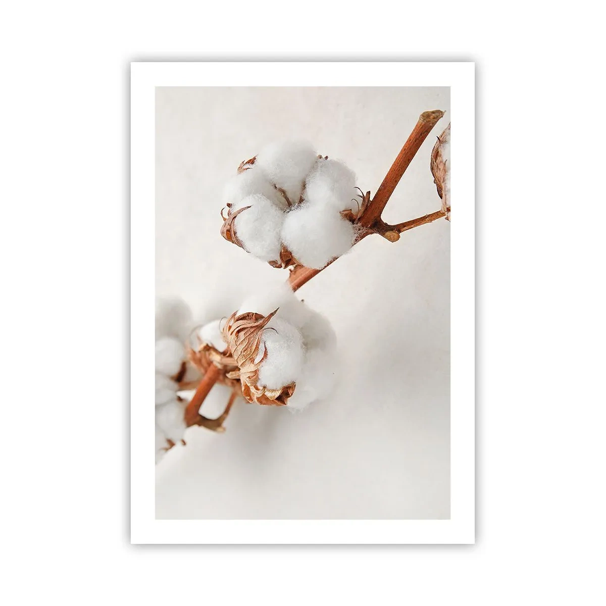 Poster - Delicati rametti di cotone su uno sfondo chiaro - 50x70cm - Semplicemente un abbraccio - Decorazione murale moderna per soggiorno e camera da letto ARTTOR