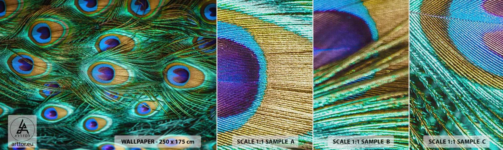 Campione di Fotomurale Premium Canvas - Lo sguardo del pavone - Astrazione, Piume di pavone, Piuma d'uccello - 100x30 cm