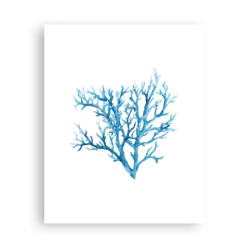 Poster - Filigrana marina - 40x50 cm