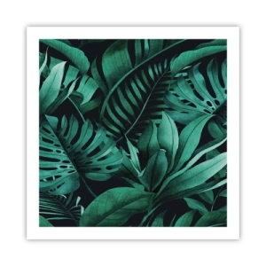 Poster - Dal profondo del verde tropicale - 60x60 cm