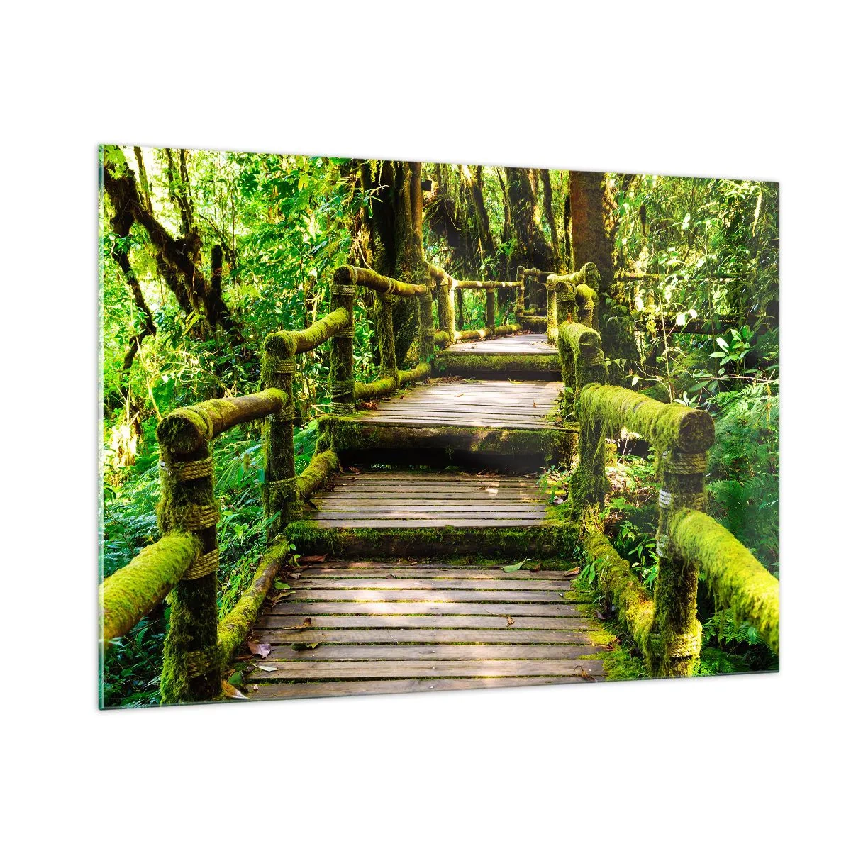 Quadro su vetro - Un sentiero di legno in una foresta verde ricoperta di muschio - 100x70cm - Un corridoio nel verde - Decorazione murale moderna per soggiorno e camera da letto ARTTOR