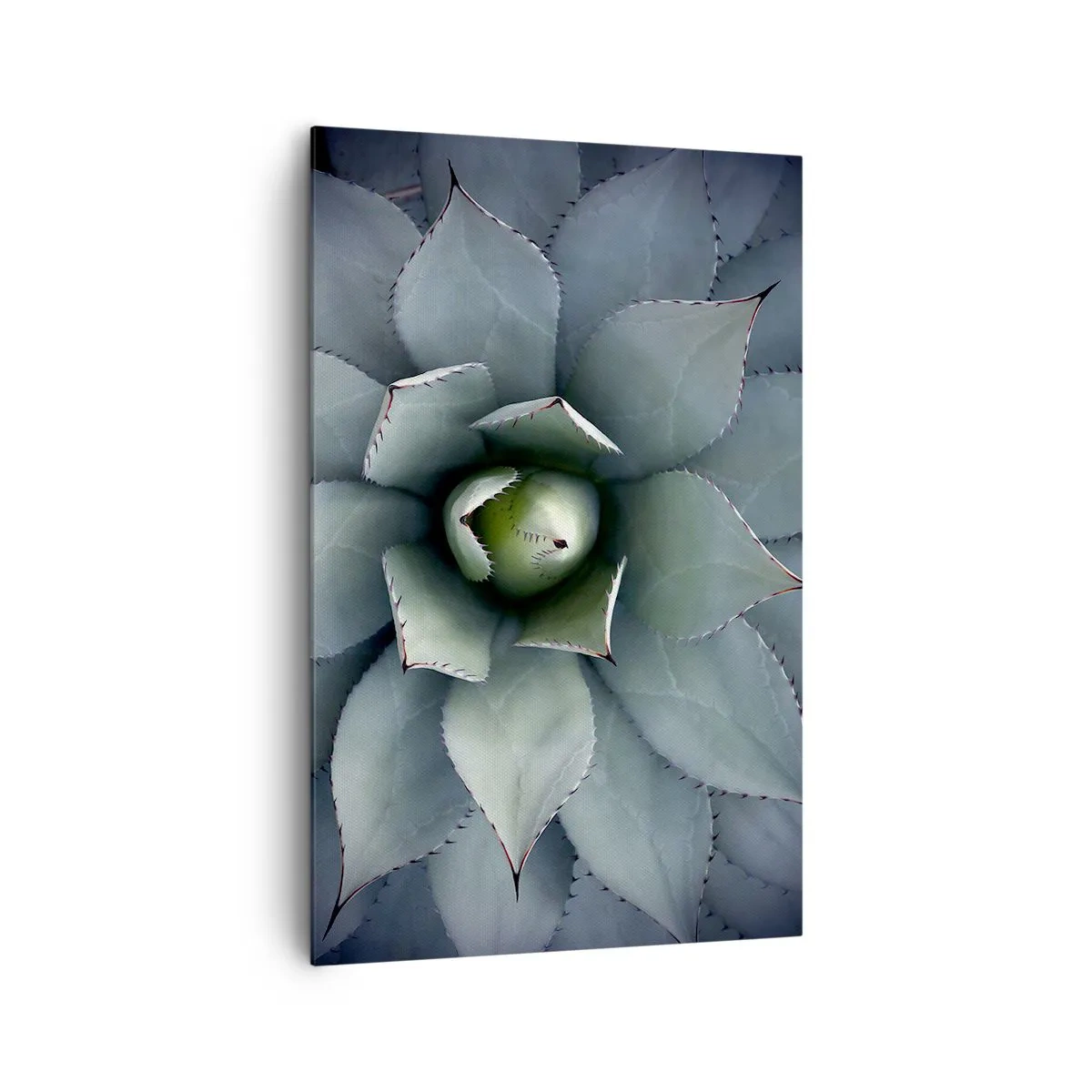 Quadro su tela - Stampe su Tela - Primo piano di una rosetta di agave in delicate tonalità di verde - 80x120cm - Adesca e minaccia - Decorazione murale moderna per soggiorno e camera da letto ARTTOR