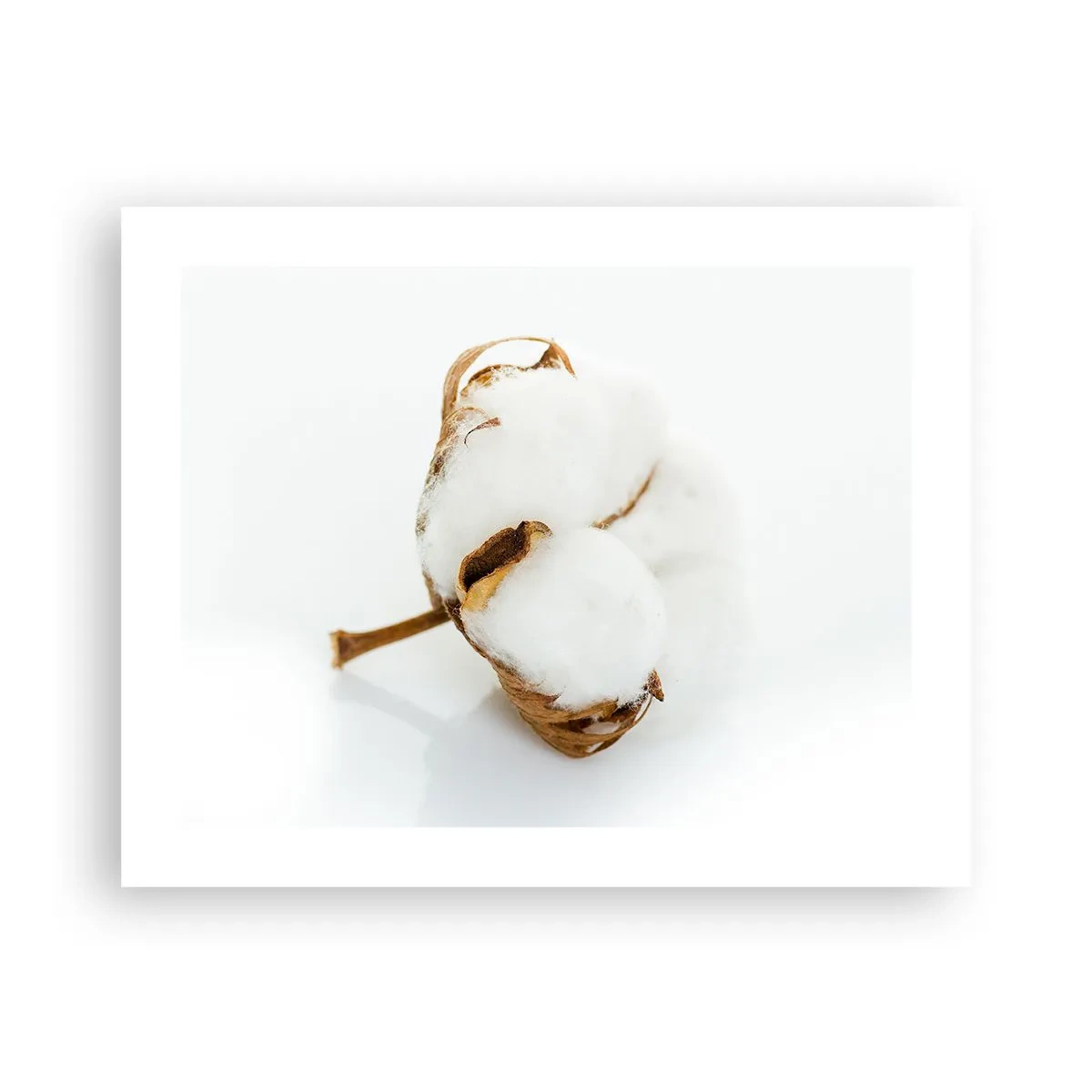 Poster - Naturalmente morbido - 50x40 cm