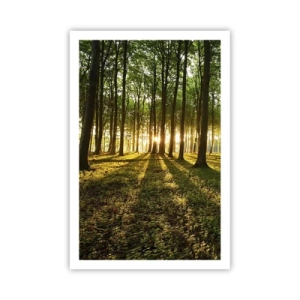 Poster - La foto di ogni primavera - 61x91 cm