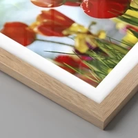 Rovere chiaro