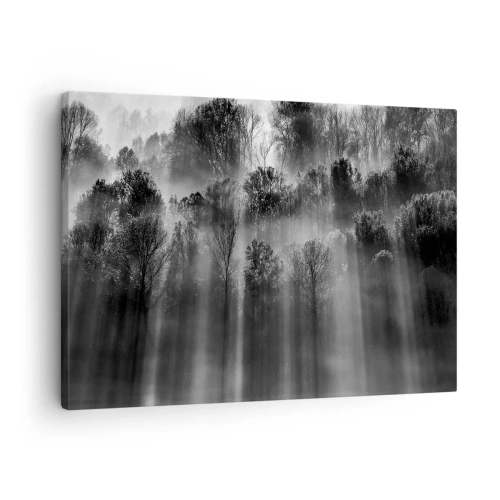 Quadro su tela - Stampe su Tela - Foresta in bianco e nero alla luce del mattino - 70x50cm - Nei getti di luce - Decorazione murale moderna per soggiorno e camera da letto ARTTOR