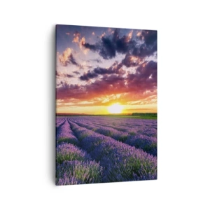 Quadro su tela - Stampe su Tela - Un campo di lavanda al tramonto con un cielo colorato - 50x70cm - Il mondo della lavanda - Decorazione murale moderna per soggiorno e camera da letto ARTTOR