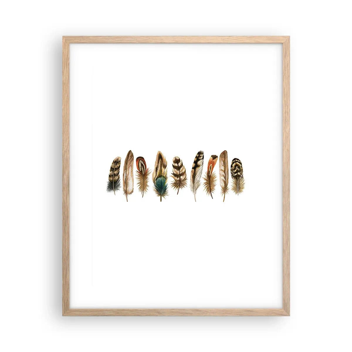 Poster in cornice rovere chiaro - Composizione di piume - 40x50 cm
