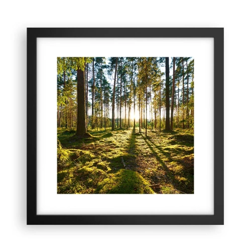 Poster in cornice nera - …dopo sette foreste - 30x30 cm