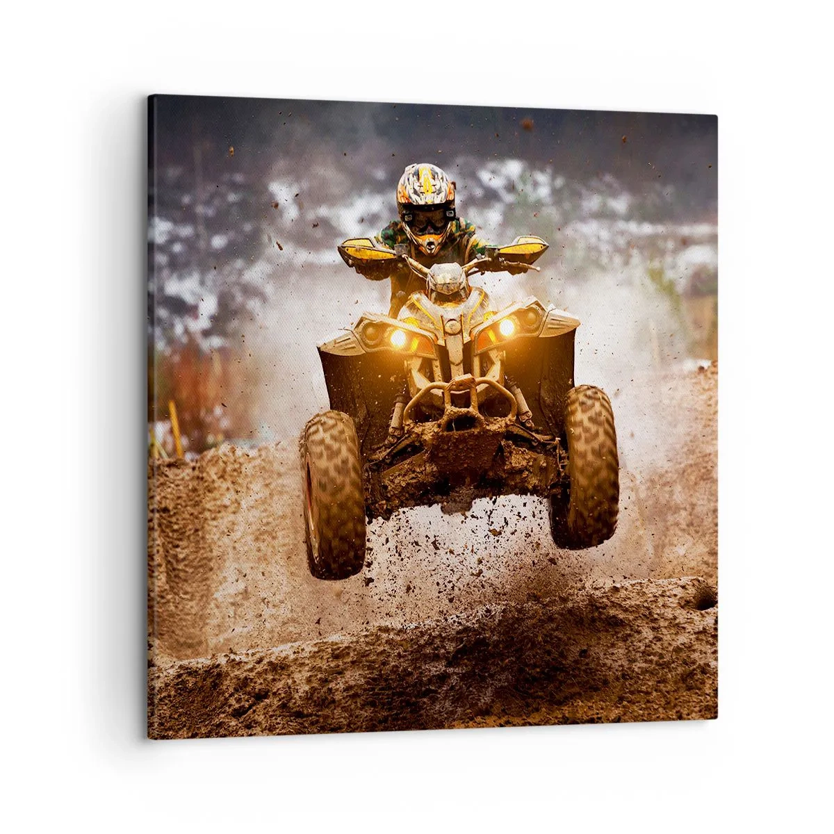 Quadro su tela - Stampe su Tela - No risk no fun - 50x50 cm