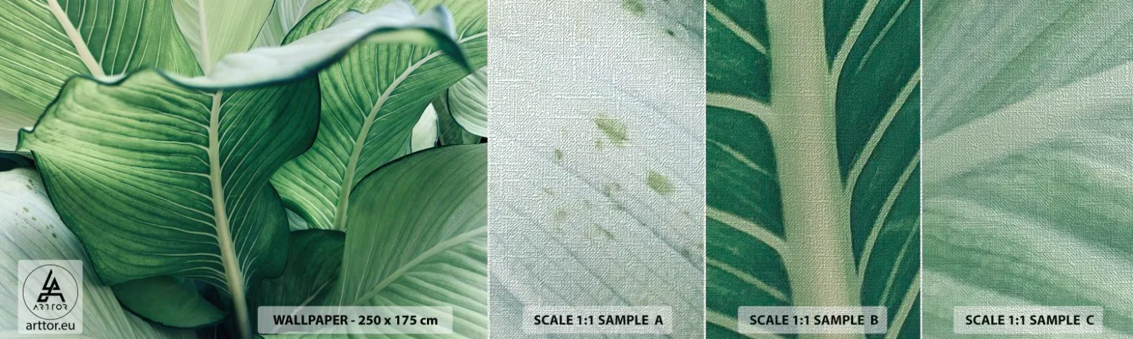 Campione di Fotomurale Premium Canvas - Una vita intensamente verde - Foglie, Esotico, Botanico - 100x30 cm