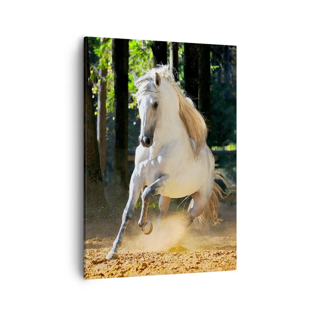 Quadro su tela - Stampe su Tela - Un cavallo bianco che galoppa attraverso una radura nella foresta - 50x70cm - Come nei racconti fantasy - Decorazione murale moderna per soggiorno e camera da letto ARTTOR