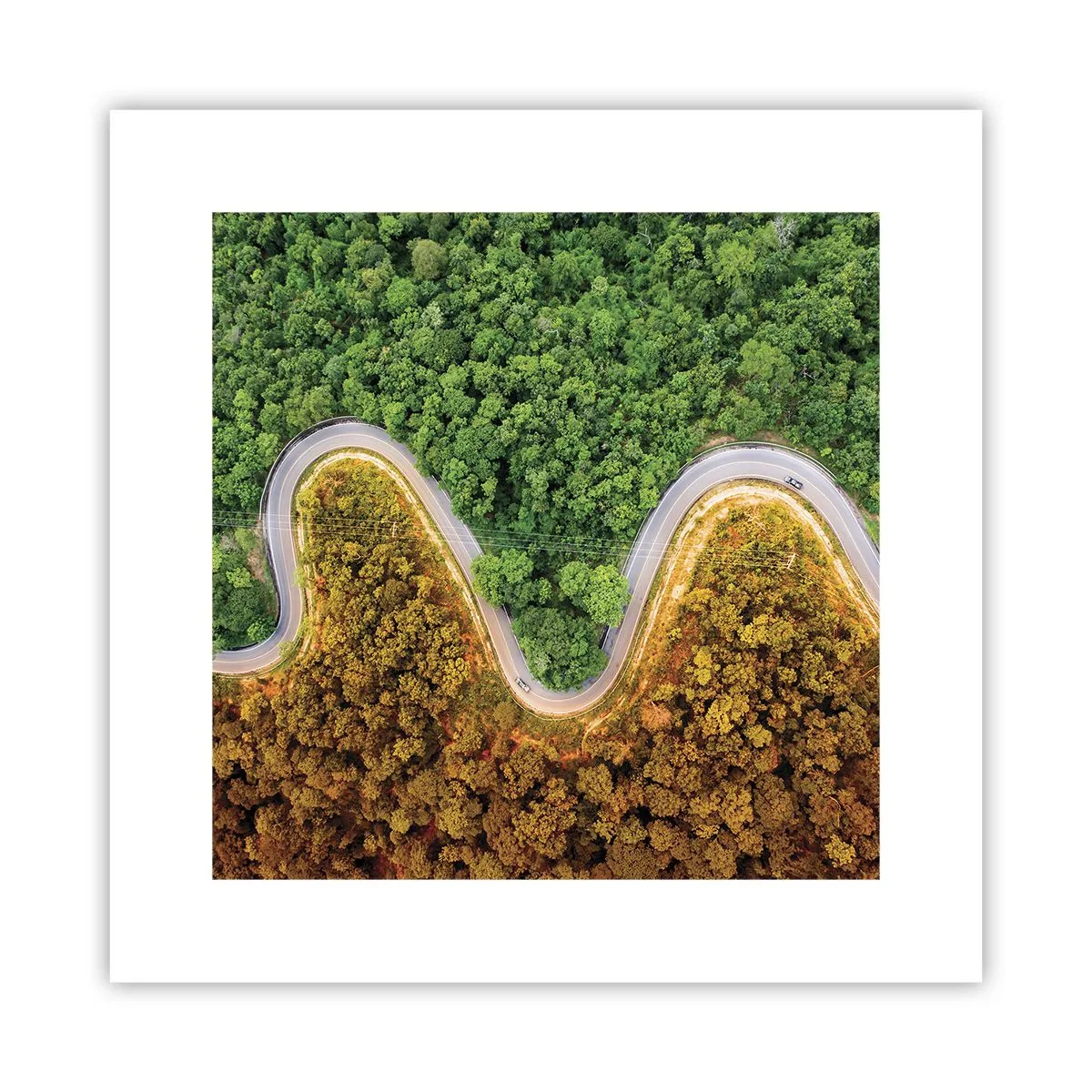 Poster - Confine e separazione - 30x30 cm