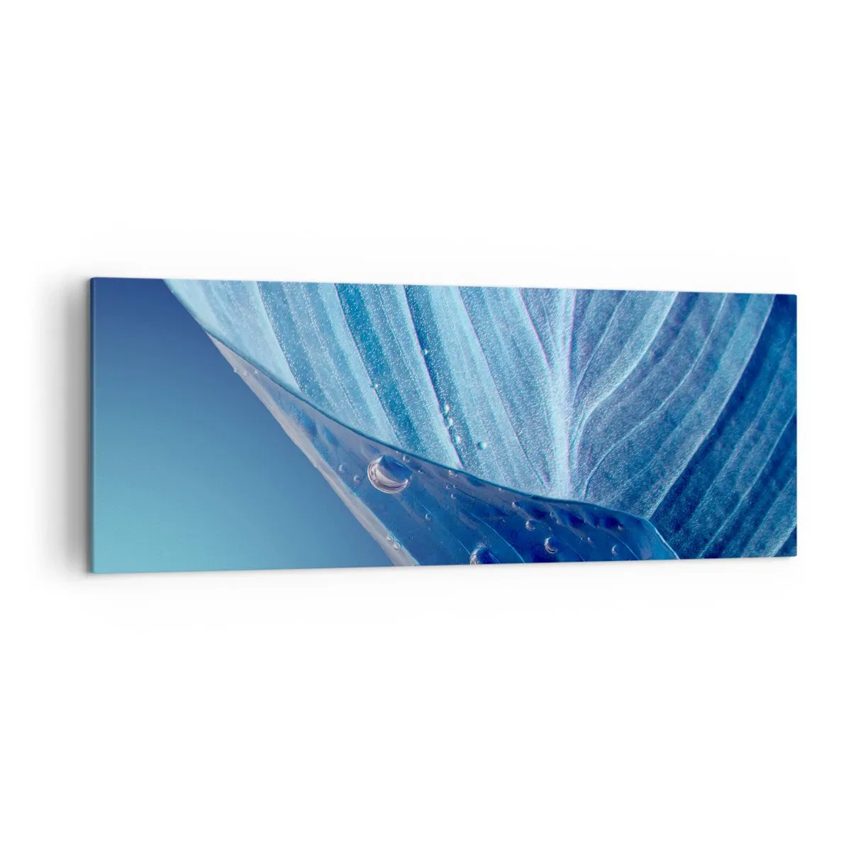Quadro su tela - Stampe su Tela - Una foglia blu con gocce d'acqua visibili - 140x50cm - Gocce di blu nascoste - Decorazione murale moderna per soggiorno e camera da letto ARTTOR