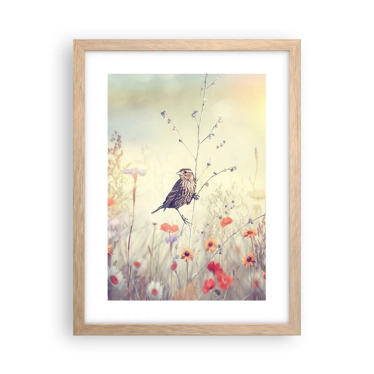 Poster in cornice rovere chiaro - Ritratto d'uccello con prato di sfondo - 30x40 cm