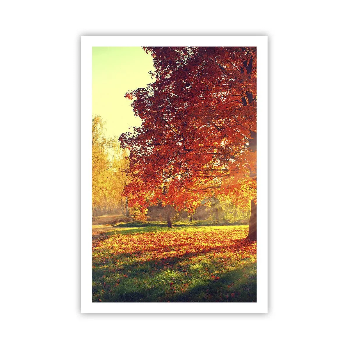 Poster - Rosso è bello - 61x91 cm