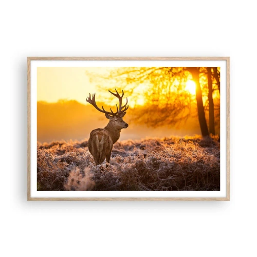Poster in cornice rovere chiaro - Il re del bosco estivo - 100x70 cm
