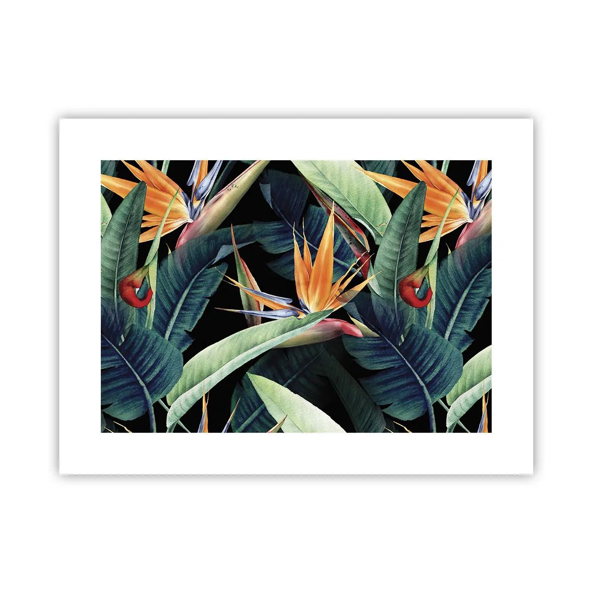 Poster - I fiori fiammeggianti dei tropici - 40x30 cm