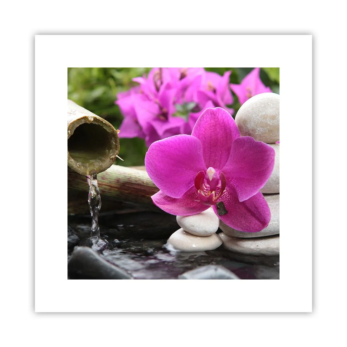 Poster - E già ti riposi - 30x30 cm