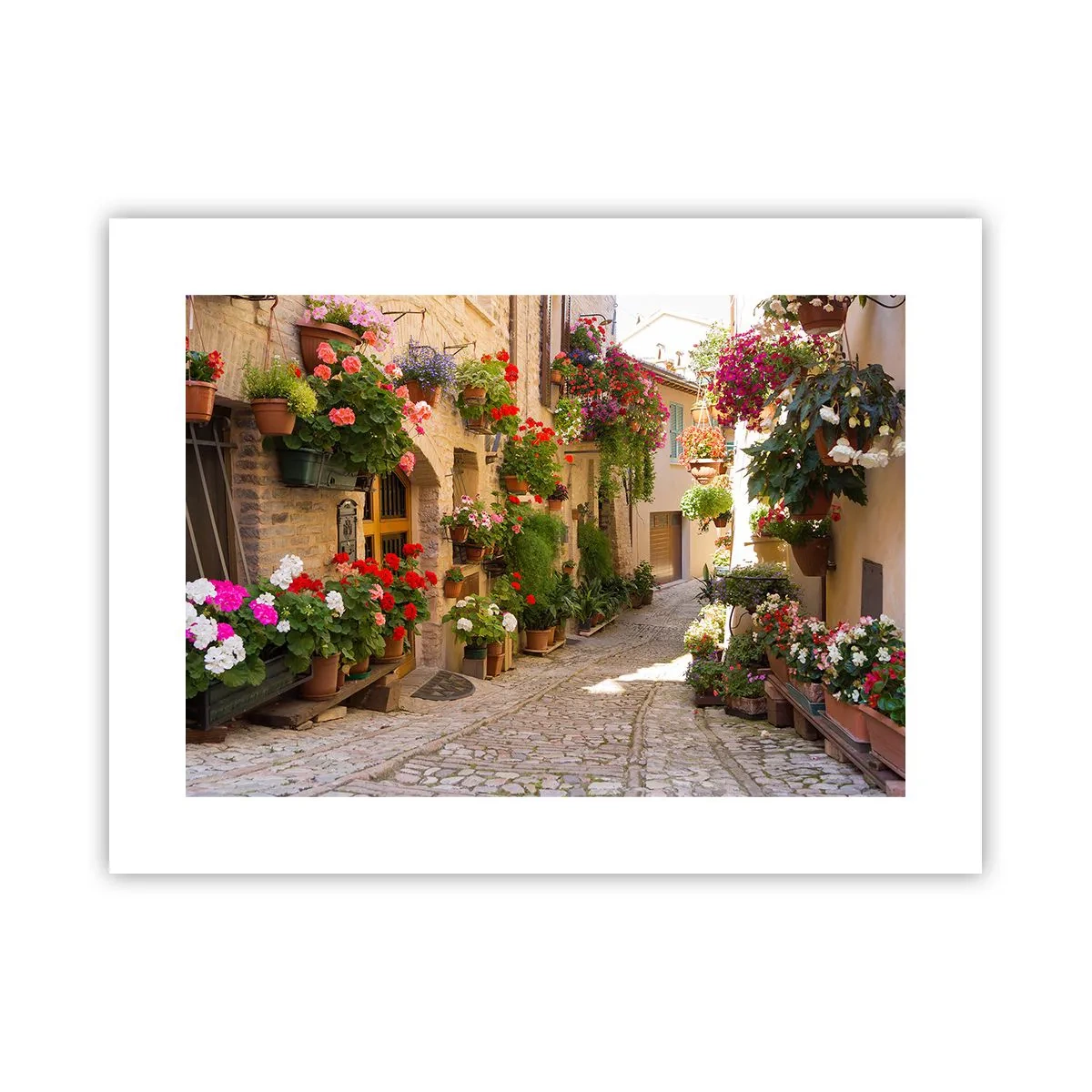 Poster - Un'esplosione di fiori - 40x30 cm